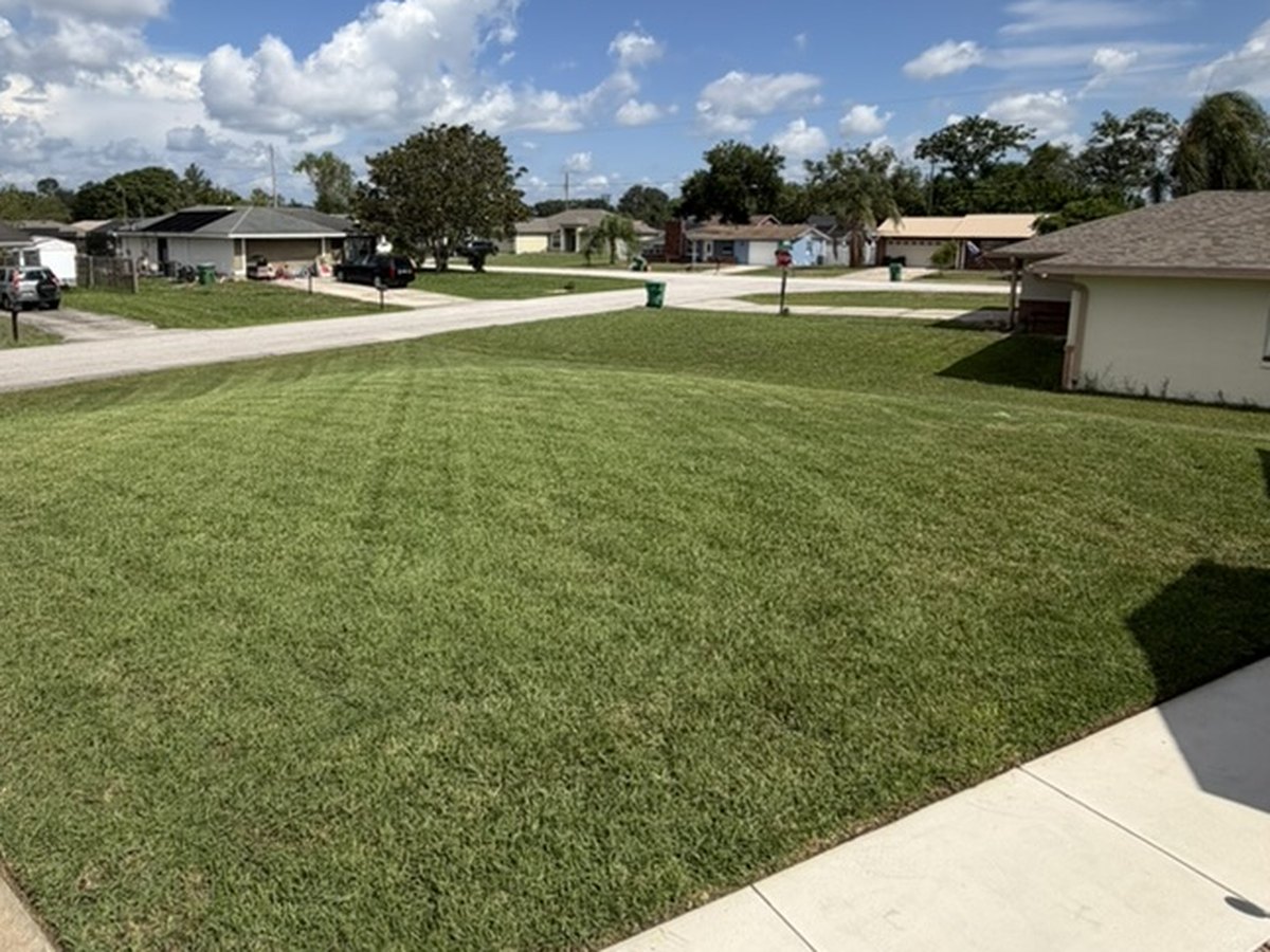 Freshly mowed Deltona front lawn with a clean edge along the sidewalk