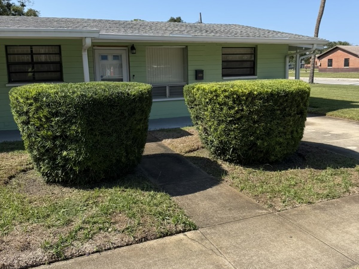 Two shrubs shaped and trimmed at the front entry of a Deltona, Florida house