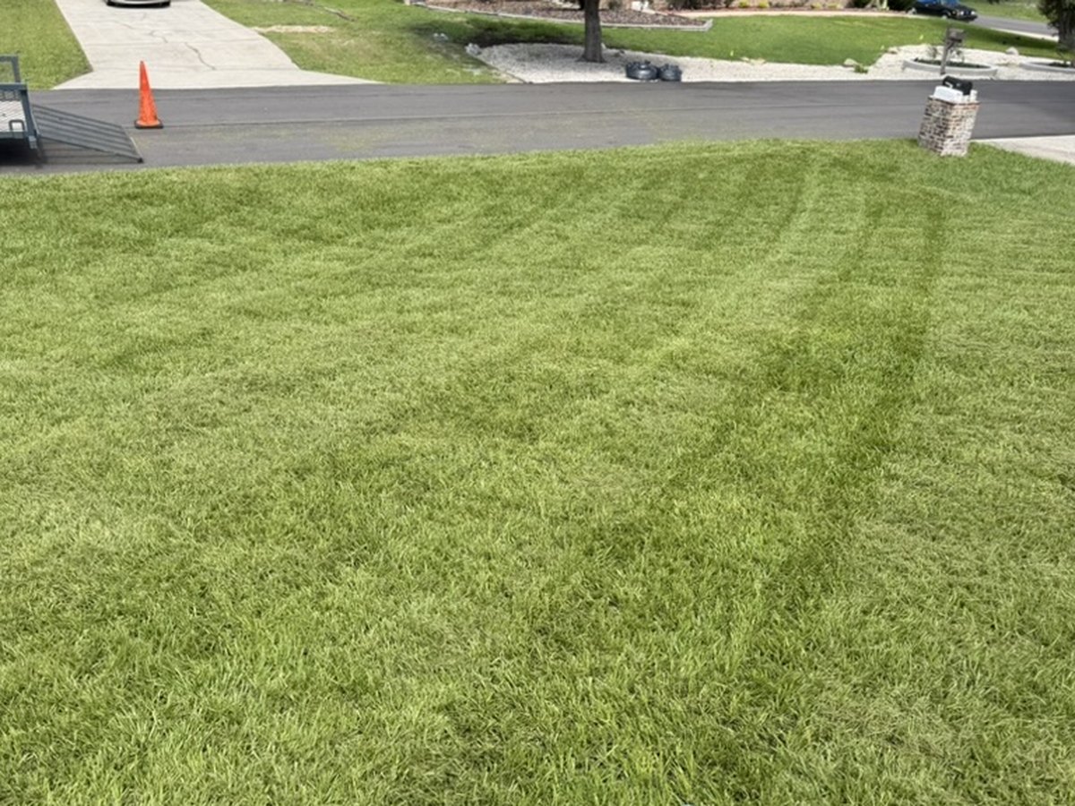 Wide green lawn cut in even stripes with a commercial stand-on mower in Volusia County